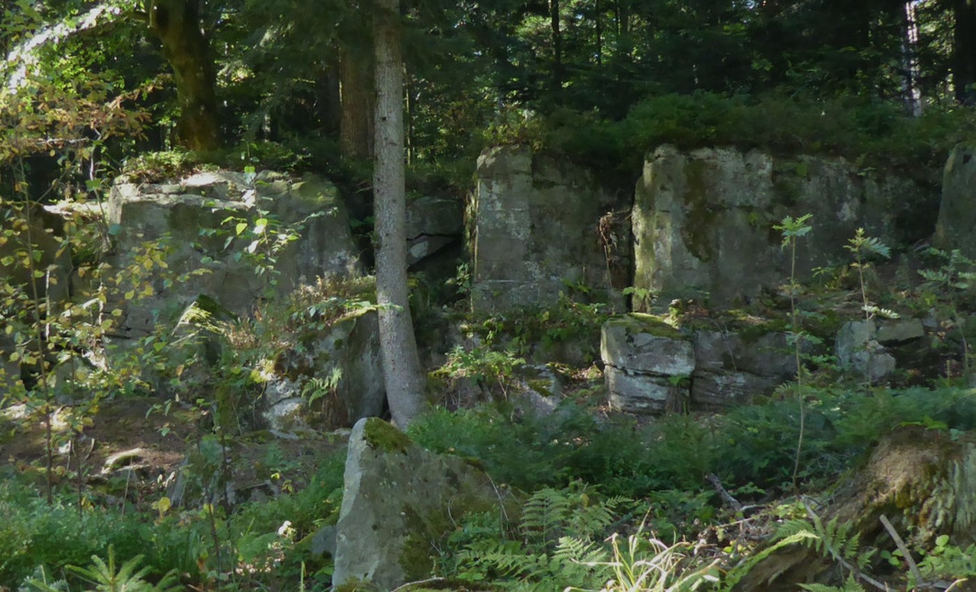 Moss-covered rocks among the trees on my Westweg walk