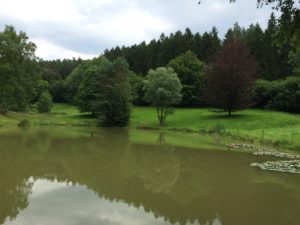 Copyright 2016 - Nico Riffel