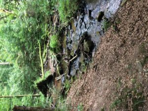 Urselbach