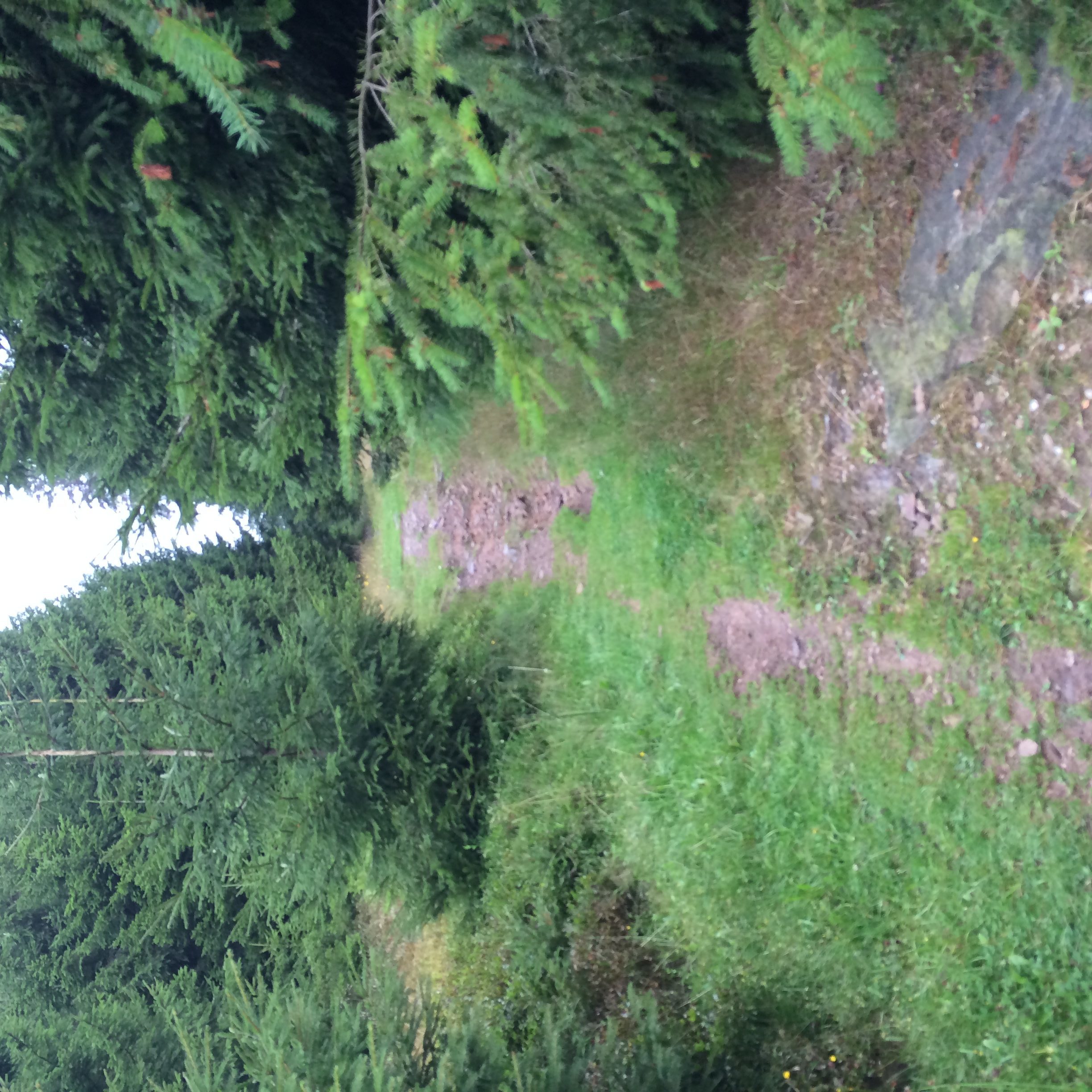 Schmalere Pfade