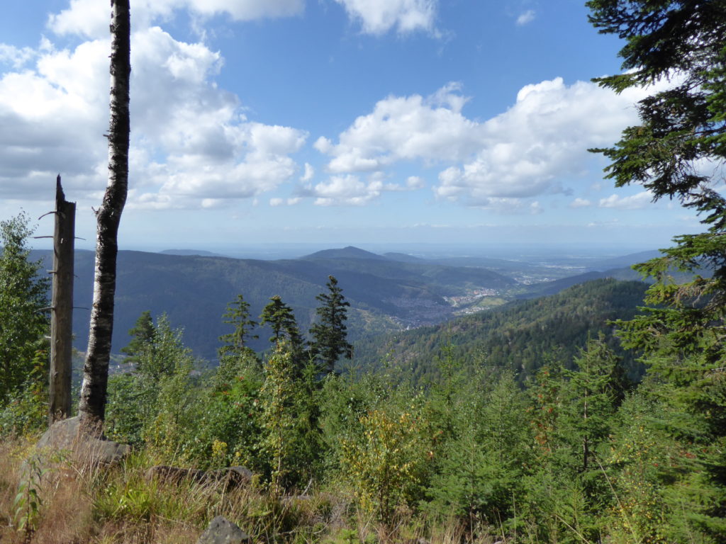 Blick vom Höhenweg (im Hintergrund die Vogesen)