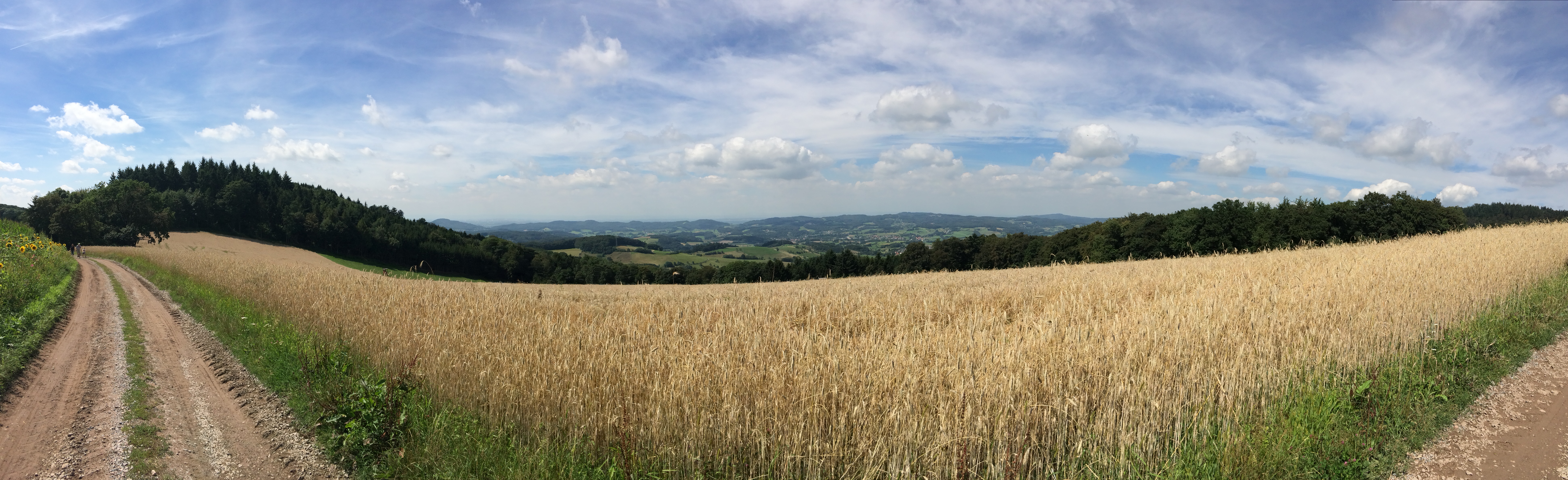 Panorama