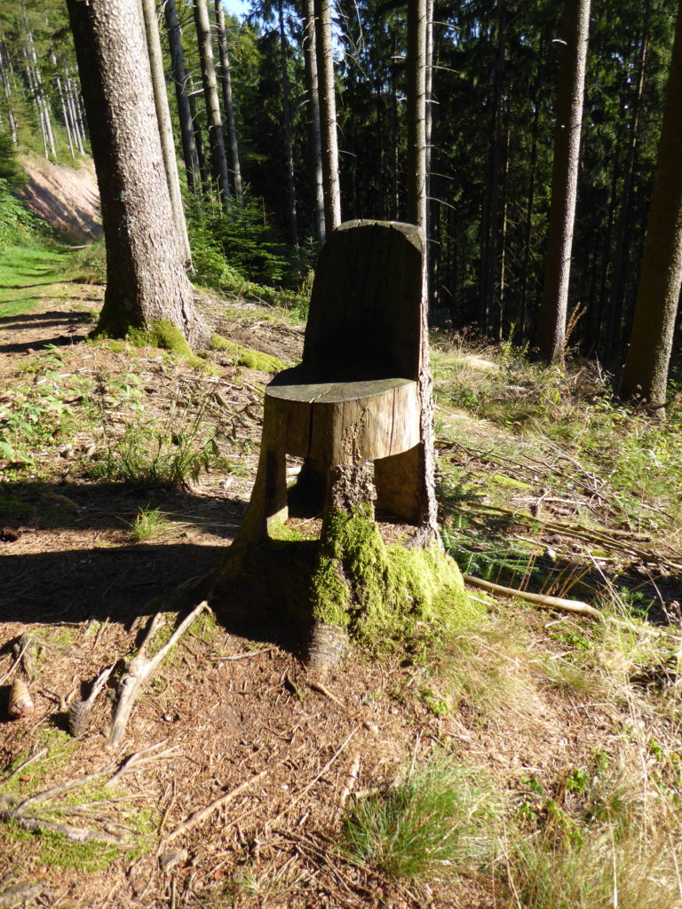 "Stuhl" im Wald